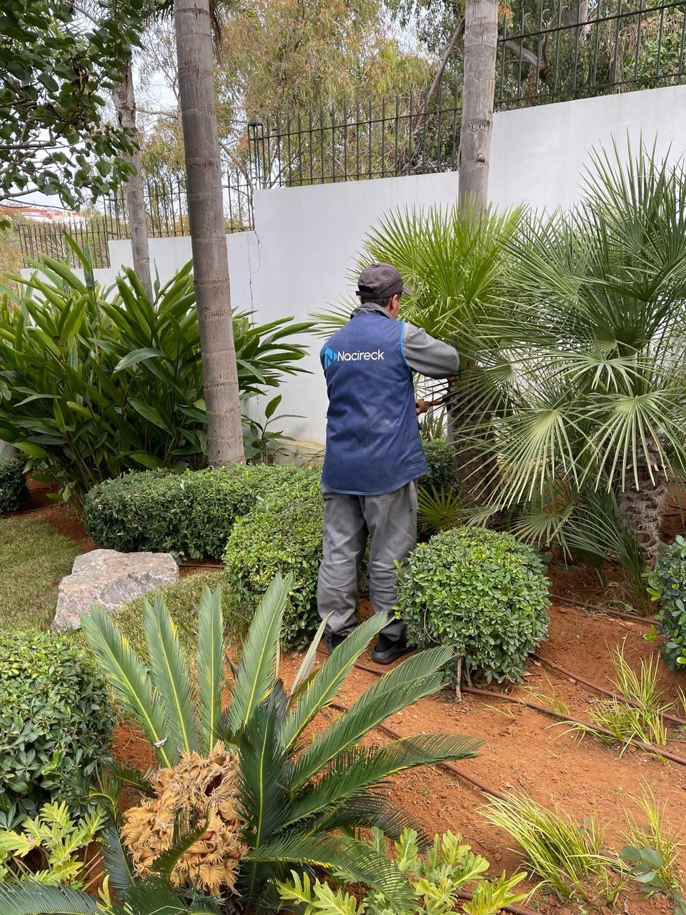 Nettoyage des bureaux